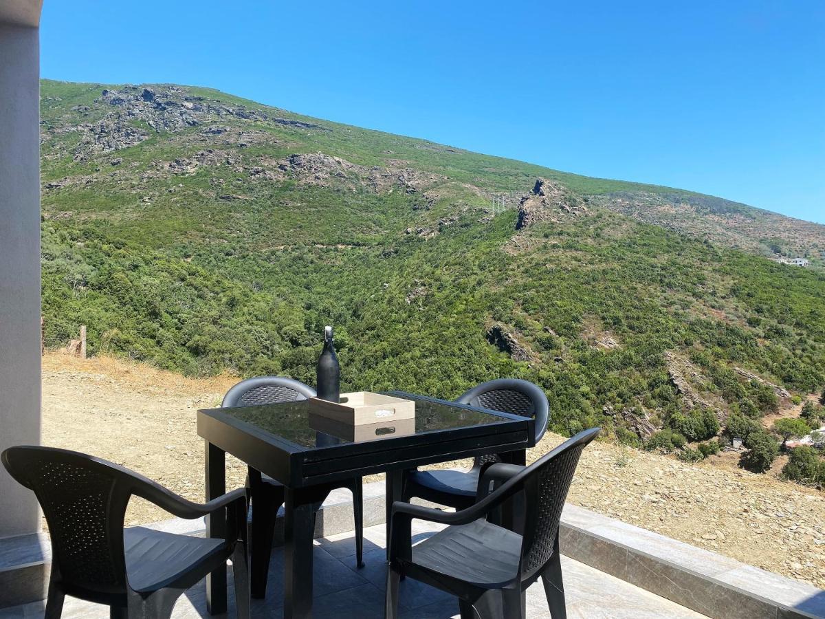 U Cavallu - Luxe Entre Mer Et Montagne Santa-Maria-di-Lota Bagian luar foto